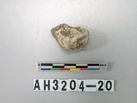 藏品(小型石英石核)的圖片